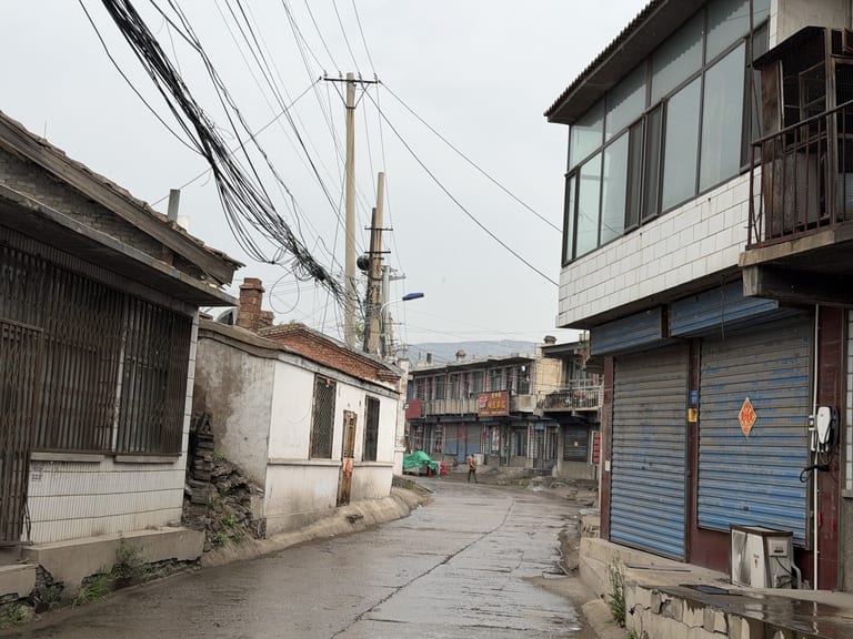 老旧街道,两侧低矮砖混建筑和带卷帘门的店铺,道路湿漉漉布满裂缝和水洼,天空中杂乱的电线,远处可见人影和灰蒙天空下的山脉