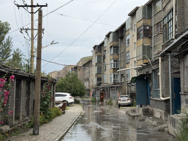 雨后湿漉漉的小巷,右侧是一排老旧三层砖楼,带蓝色木门和外挂杂物,左侧低矮砖墙边开着粉色蜀葵和野花,一辆白色 SUV 停在前段